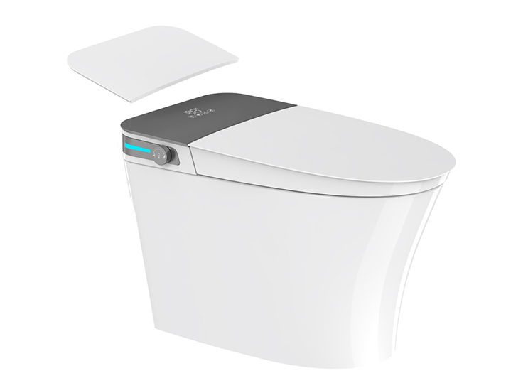 Intelligent toilet manufacturer